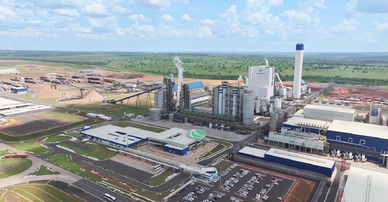Suzano abre vagas em Brasilândia, Ribas do Rio Pardo e Três Lagoas para áreas florestal e de manutenção